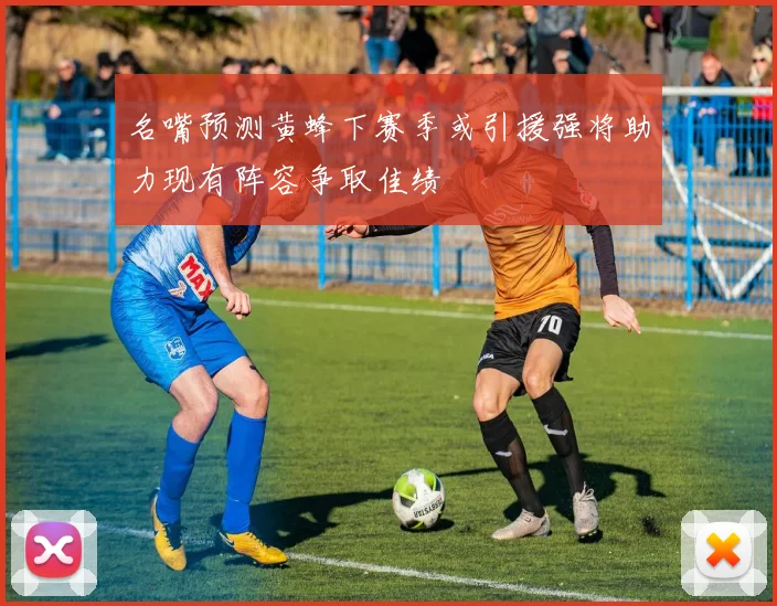 名嘴预测黄蜂下赛季或引援强将助力现有阵容争取佳绩