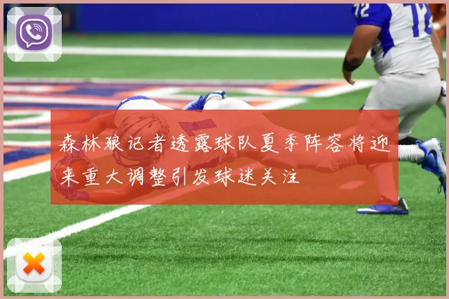 森林狼记者透露球队夏季阵容将迎来重大调整引发球迷关注