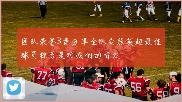团队荣誉B费分享全队合照英超最佳球员称号是对我们的肯定
